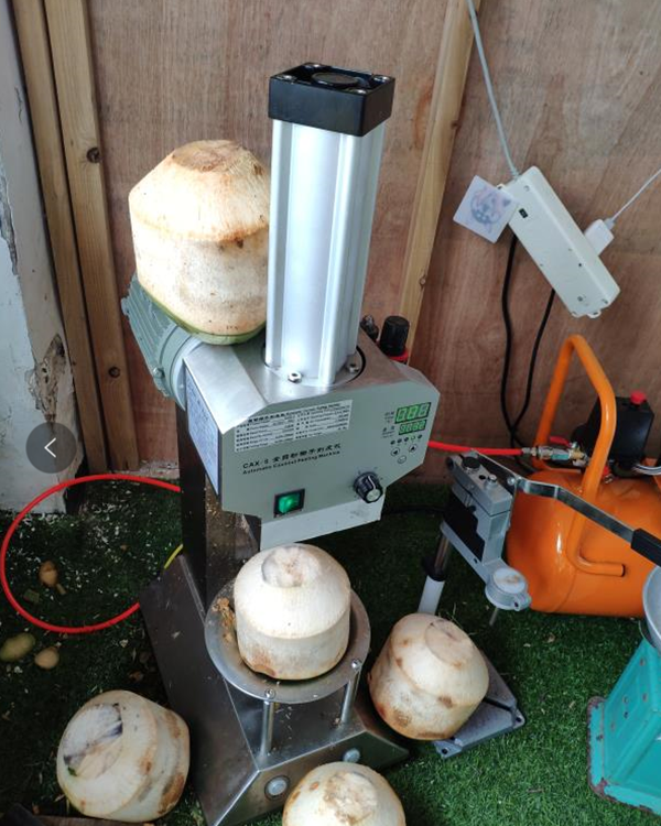 Coconut Trimming Machine Green Coconut Peeling Machine Green Coconut Peel Cutting Machine