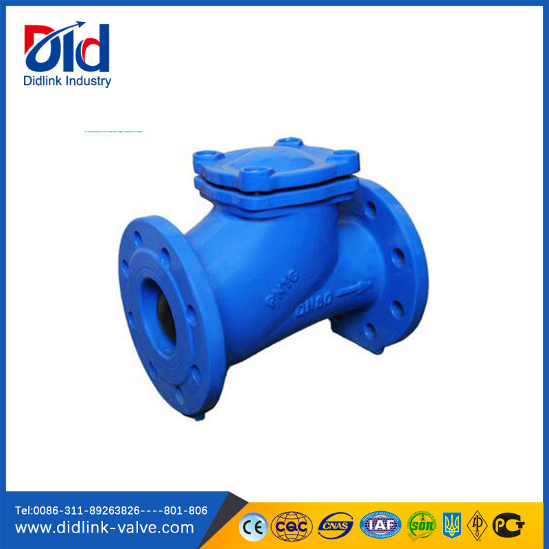 Spring PN16 DN150 GGG50 Water Ball Cast Iron Wafer Swing Metal Check Valve