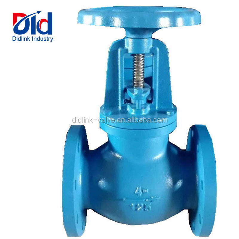 DN65-DN150 Dimension Cast Iron FC200 Angle Bellows Flanged Type Extension Stem Water Flow Check Control Globe Valve