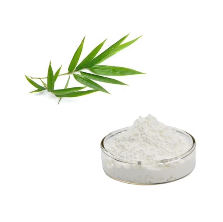 Bamboo Leaf Extract 70% Silica Powder with Best Price