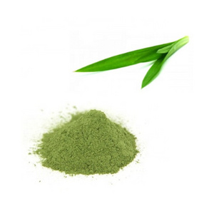 Organic Food Ingredient 10:1 20:1 Pandan Leaf Extract Powder