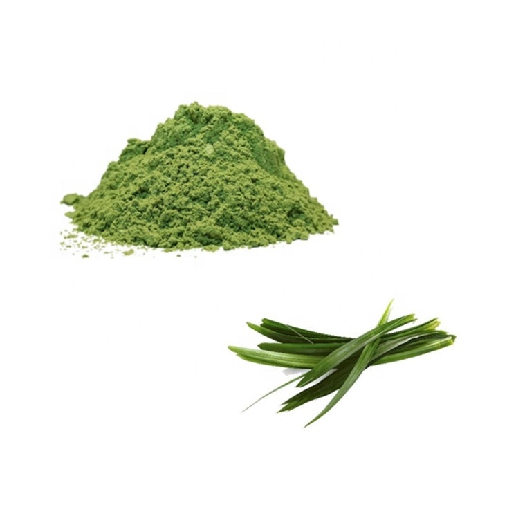 Organic Food Ingredient 10:1 20:1 Pandan Leaf Extract Powder