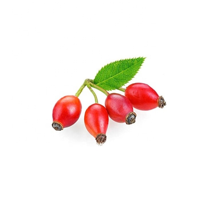 Pure Rosehip Powder Rose Hip Extract for Food Additives