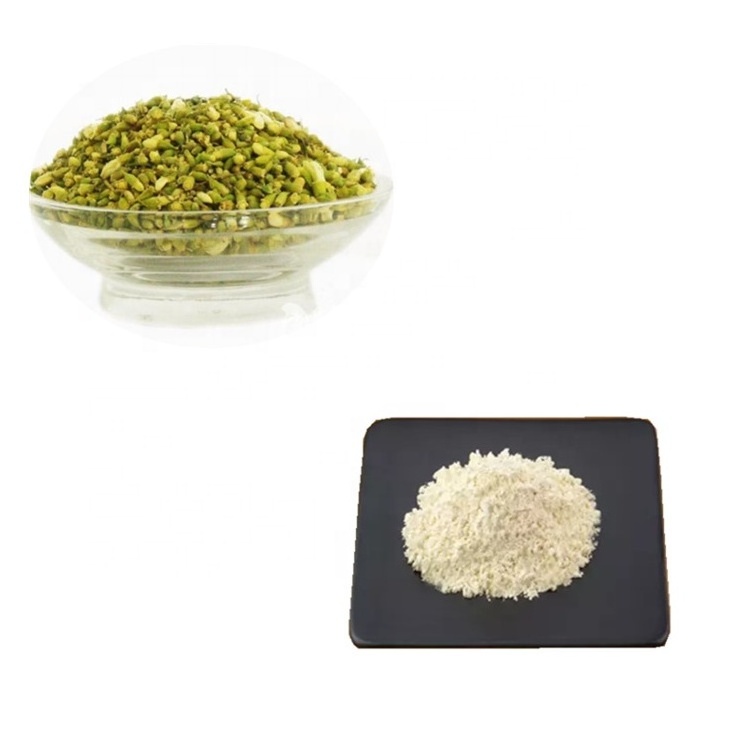 Sophora Japonica Rutin Extract 95% Power Active Ingredients Powder