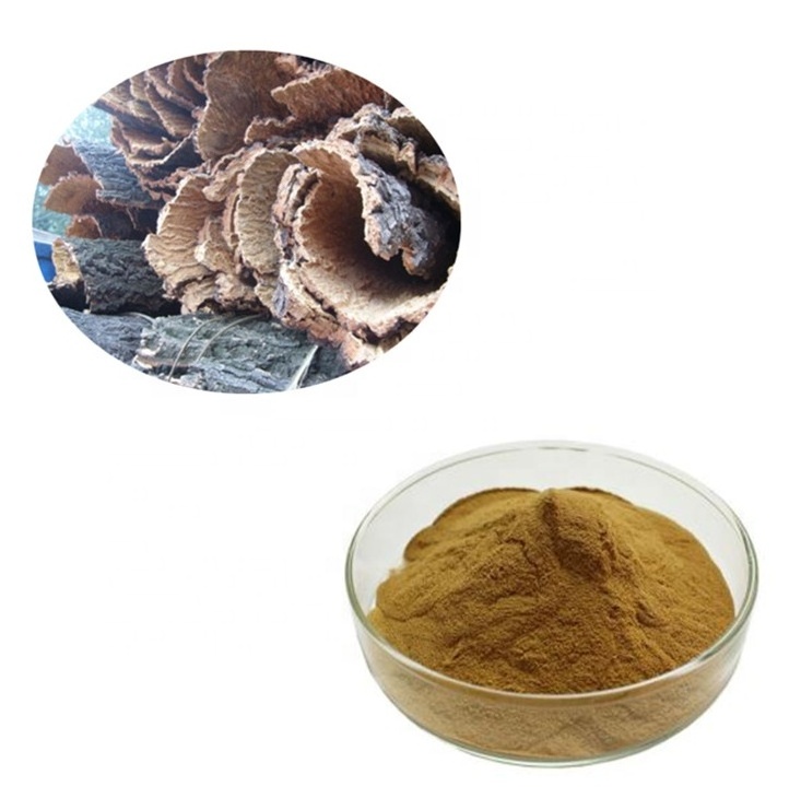 Most Powerful White Oak Bark Extract Powder