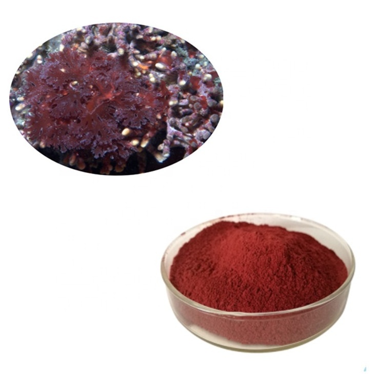 Pure Bulk Red Algae Astaxanthin Extract Powder with Best Price