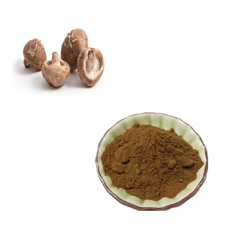 Buy Shitake Mushroom Extract Lentinan 30% Powder