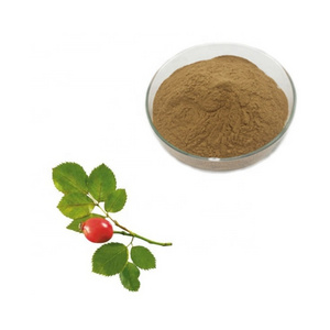 Pure Rosehip Powder Rose Hip Extract for Food Additives