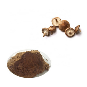 Buy Shitake Mushroom Extract Lentinan 30% Powder