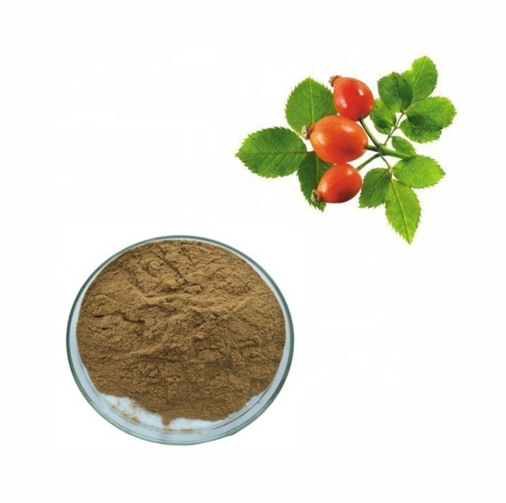 Pure Rosehip Powder Rose Hip Extract for Food Additives