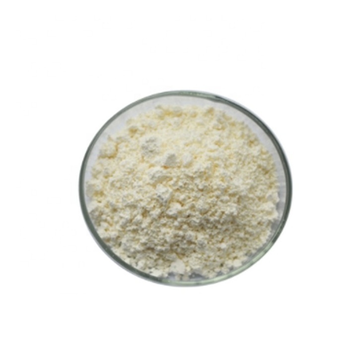 Sophora Japonica Rutin Extract 95% Power Active Ingredients Powder