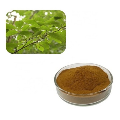 Pure Eucommia Ulmoides Leaf Bark Extract 25% Chlorogenic Acid