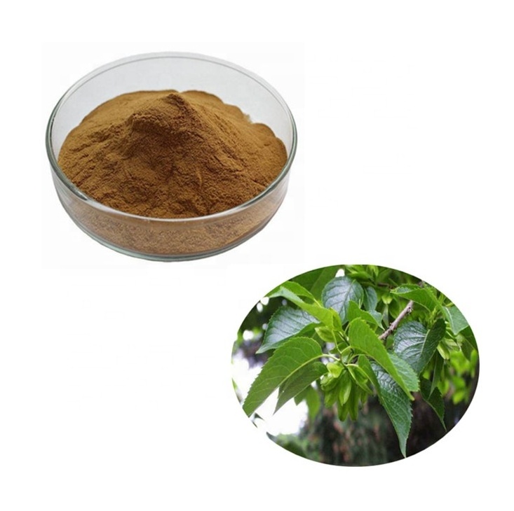 Pure Eucommia Ulmoides Leaf Bark Extract 25% Chlorogenic Acid