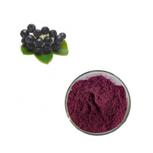 Hot Sales Aronia Berry Juice Concentrate Powder