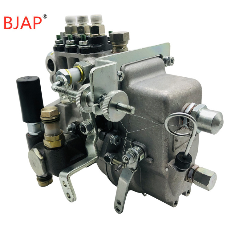 3PL119 Injection Pump BHF3PL080040 3PL119-80-750 Pump