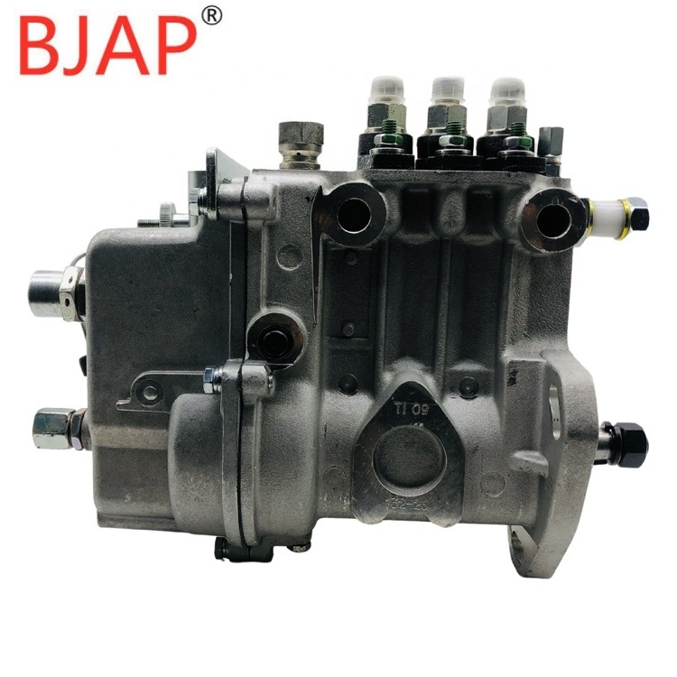 3PL119 Injection Pump BHF3PL080040 3PL119-80-750 Pump