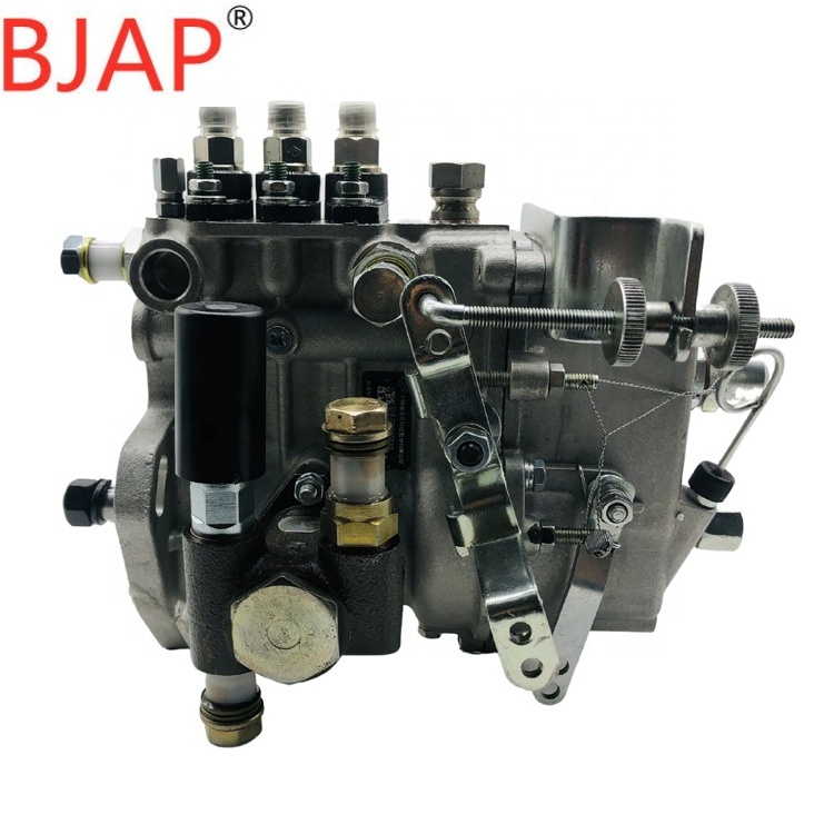 3PL119 Injection Pump BHF3PL080040 3PL119-80-750 Pump