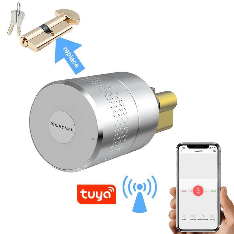 ODM European Keyless Fingerprint Smart Lock Cylinder Tuya BT Zigbee TTlock App Alexa Google Home WiFi Digital Smart Door Lock