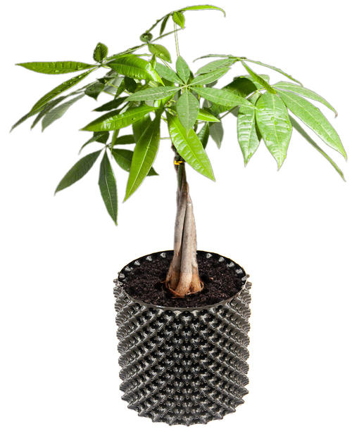 HDPE Plastic plant root fast growth container pot controller air pruning pot for outdoor tree