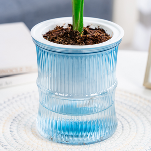 Self absorbent lazy person transparent soil cultivation small potted plant flower pots for living room tabletop creativity,