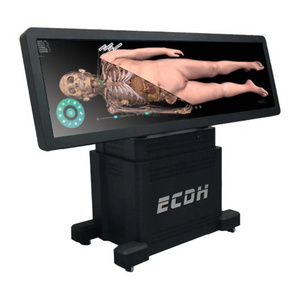 ECDH 88Inch Virtual Dissection Table Virtual Anatomy Table