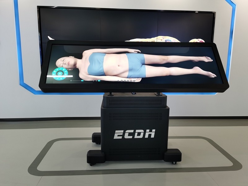 ECDH 88Inch Virtual Dissection Table Virtual Anatomy Table