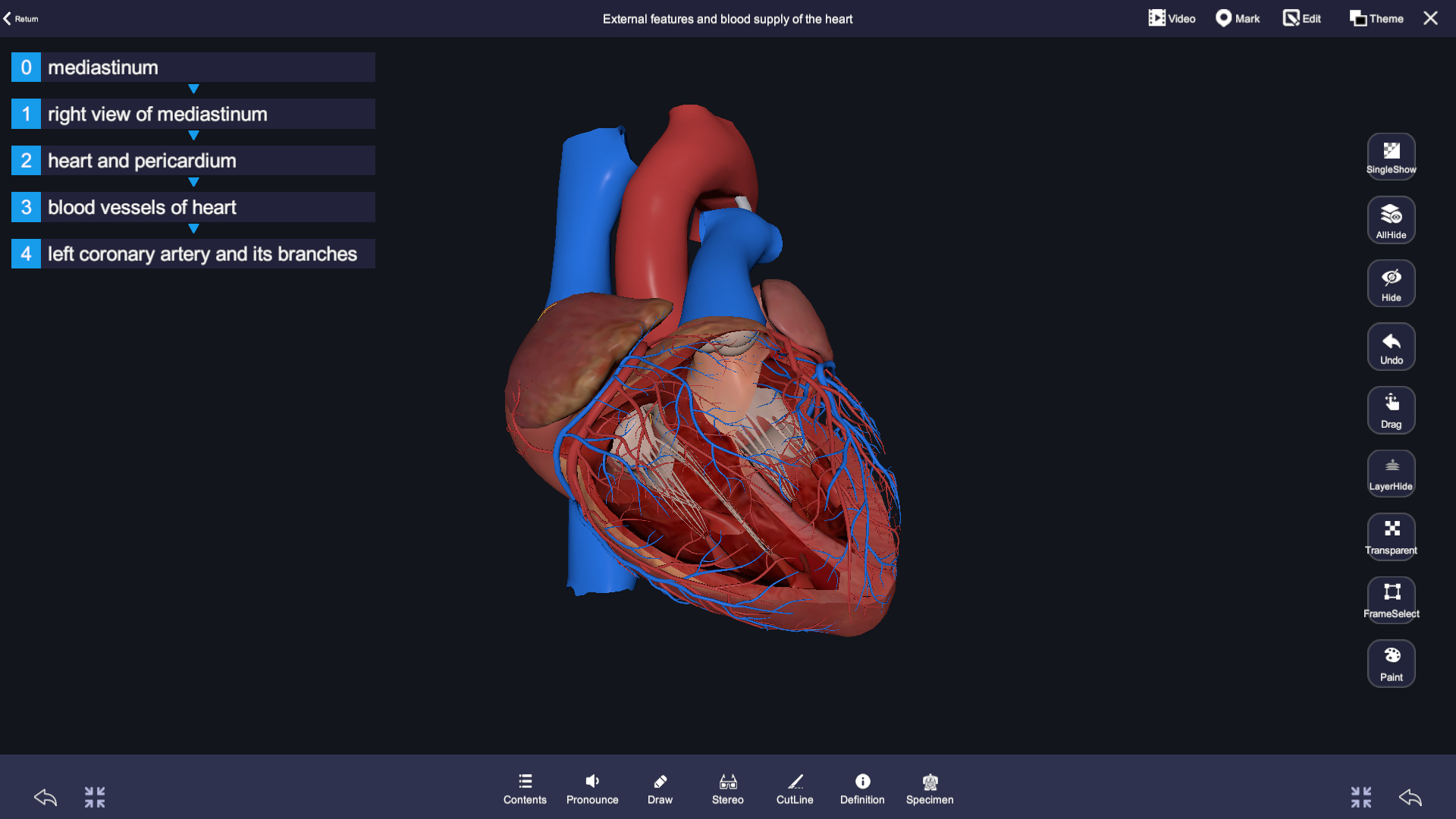 Virtual Interactive Digihuman Anatomy Dissection Table Clinical Teaching Tool Accurate Autopsy