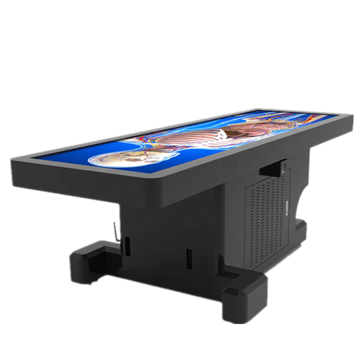 AIO digital human anatomy Digihuman virtual dissection table for university