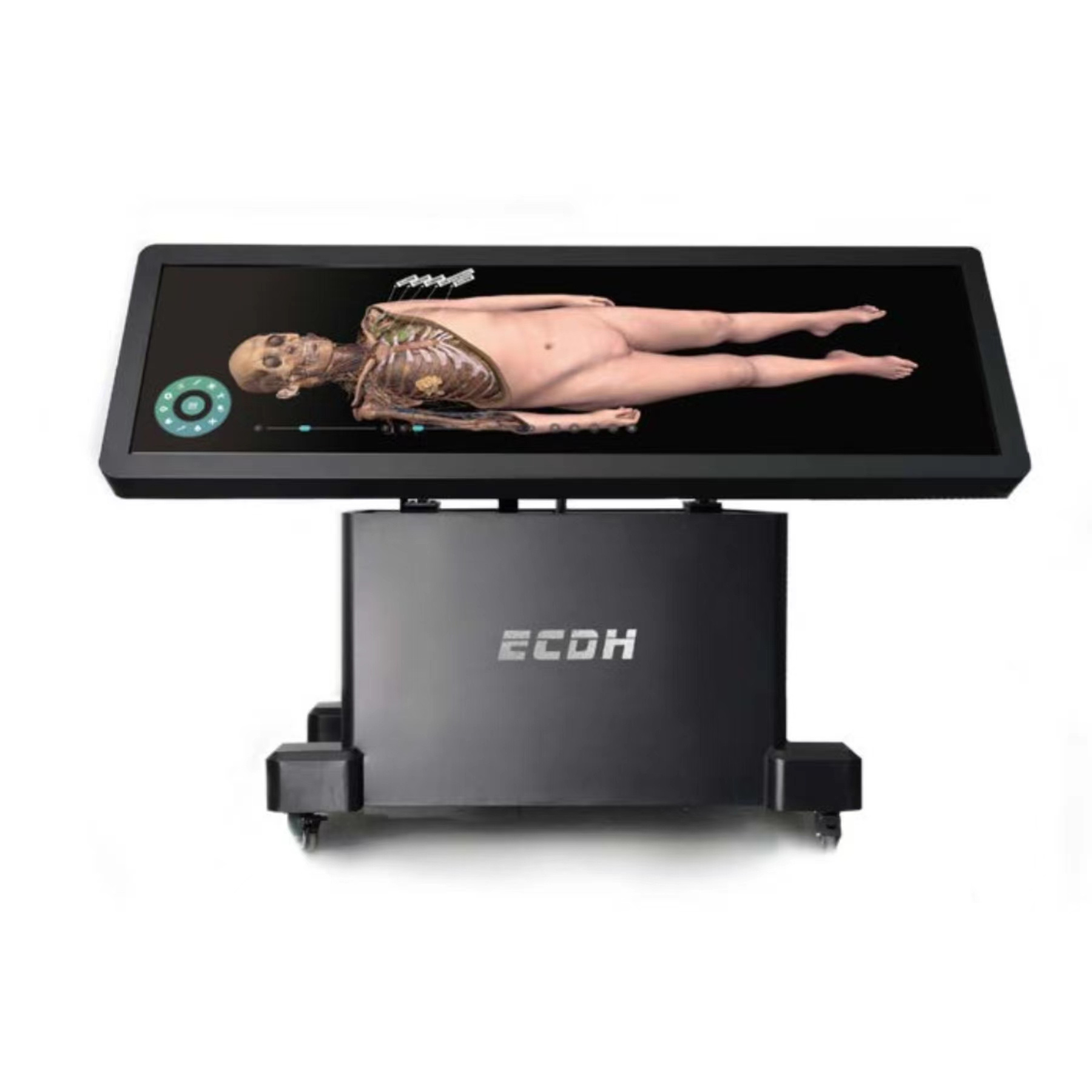 ECDH 88Inch Virtual Dissection Table Virtual Anatomy Table