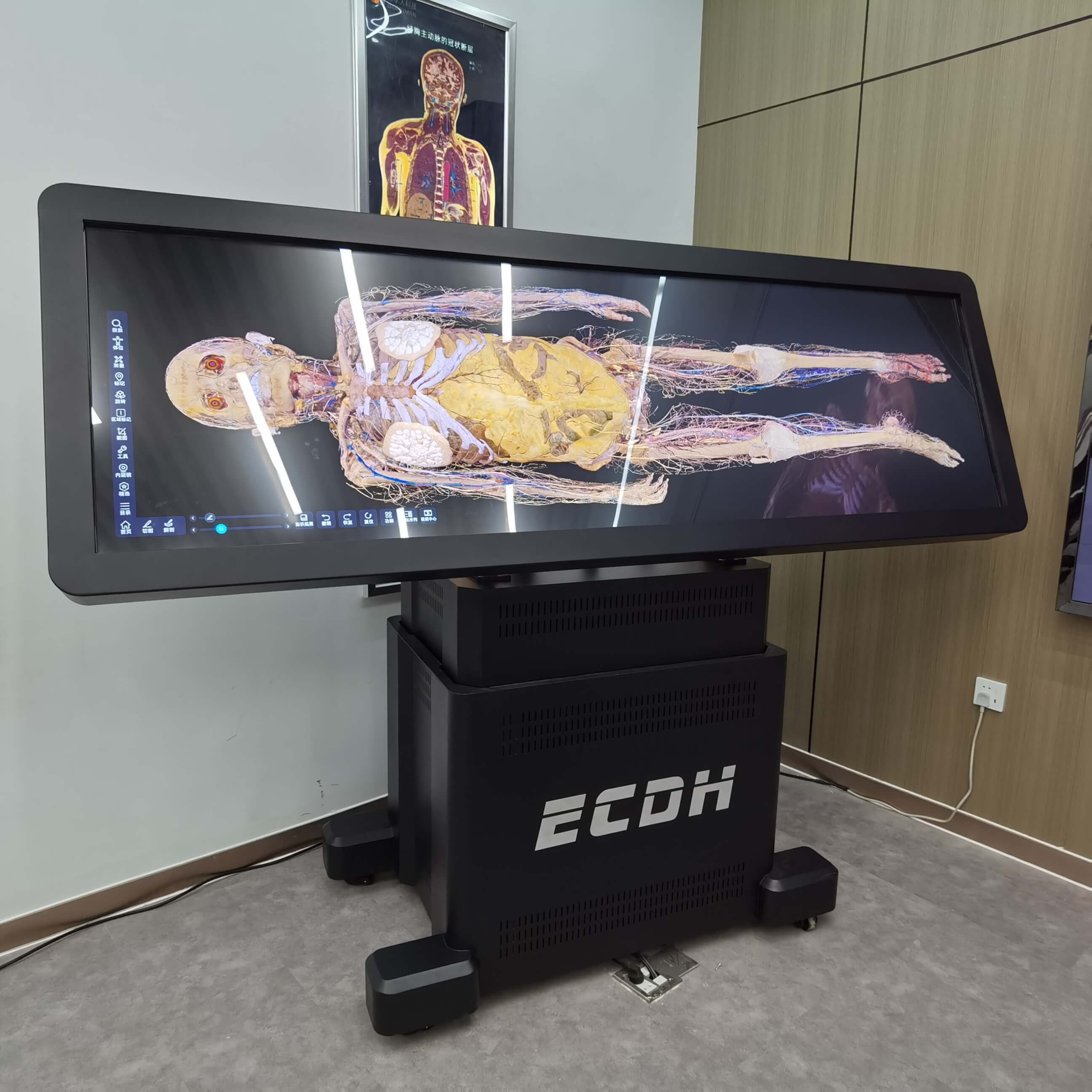 ECDH 88Inch Virtual Dissection Table Virtual Anatomy Table