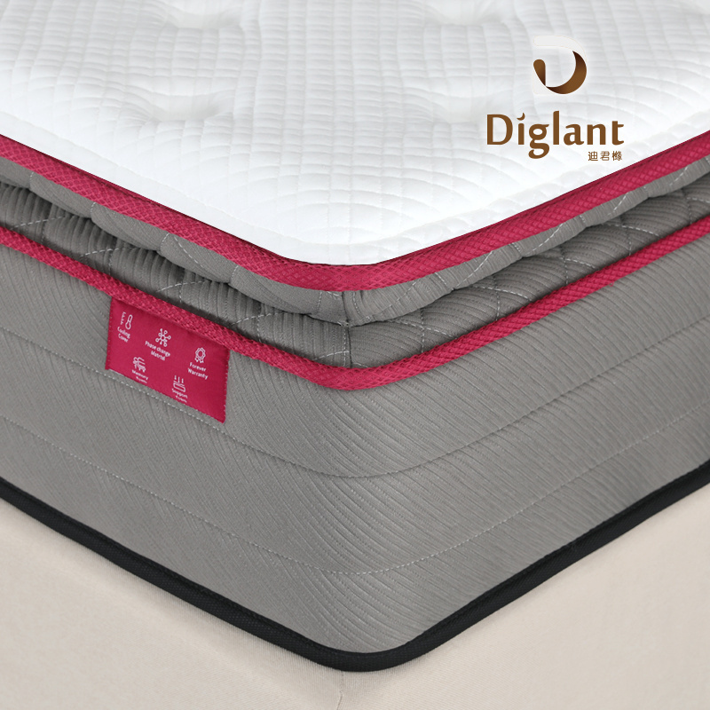 Factory Wholesale New Design Bedroom Memory Foam Spring Mattress Compression and roll packs Hybrid Mattress