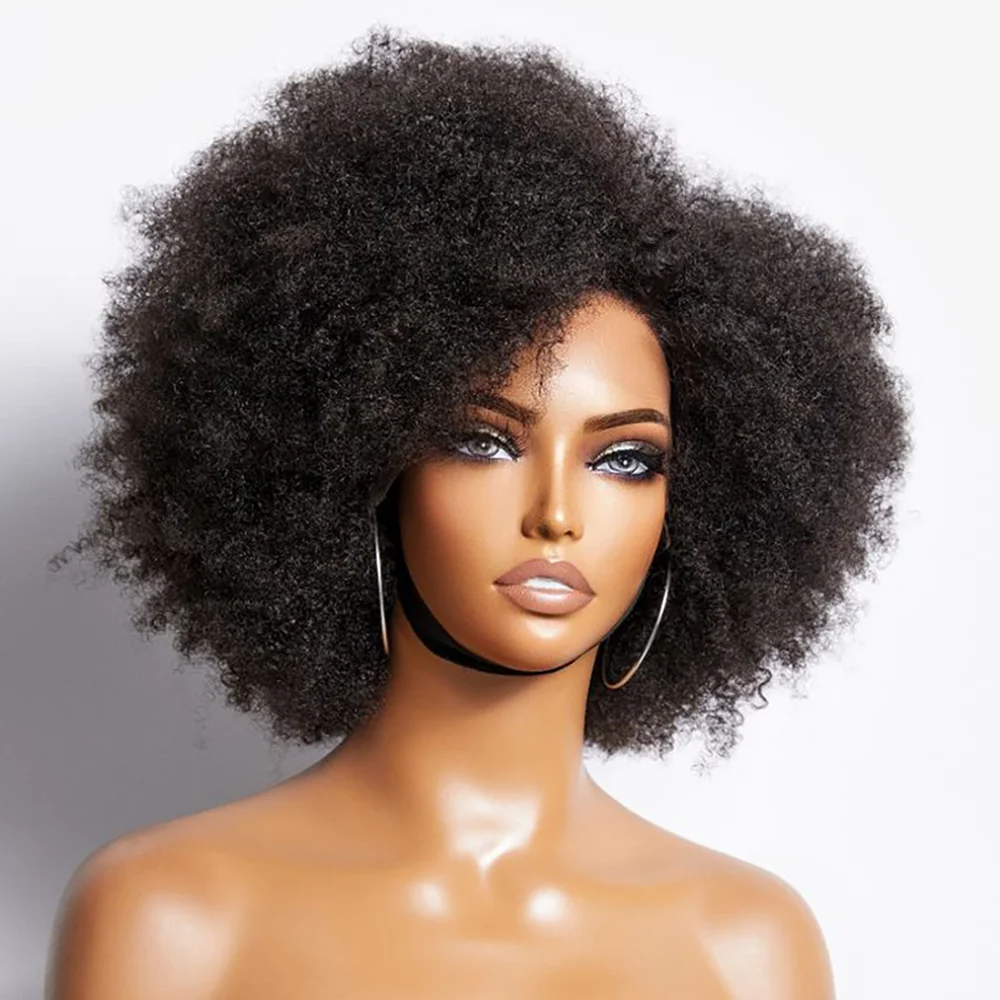 Lace Wig Afro Kinky Curly Wig Afro Hair Wigs For Black Human Hair Transparent Mongolian Natural Front Women