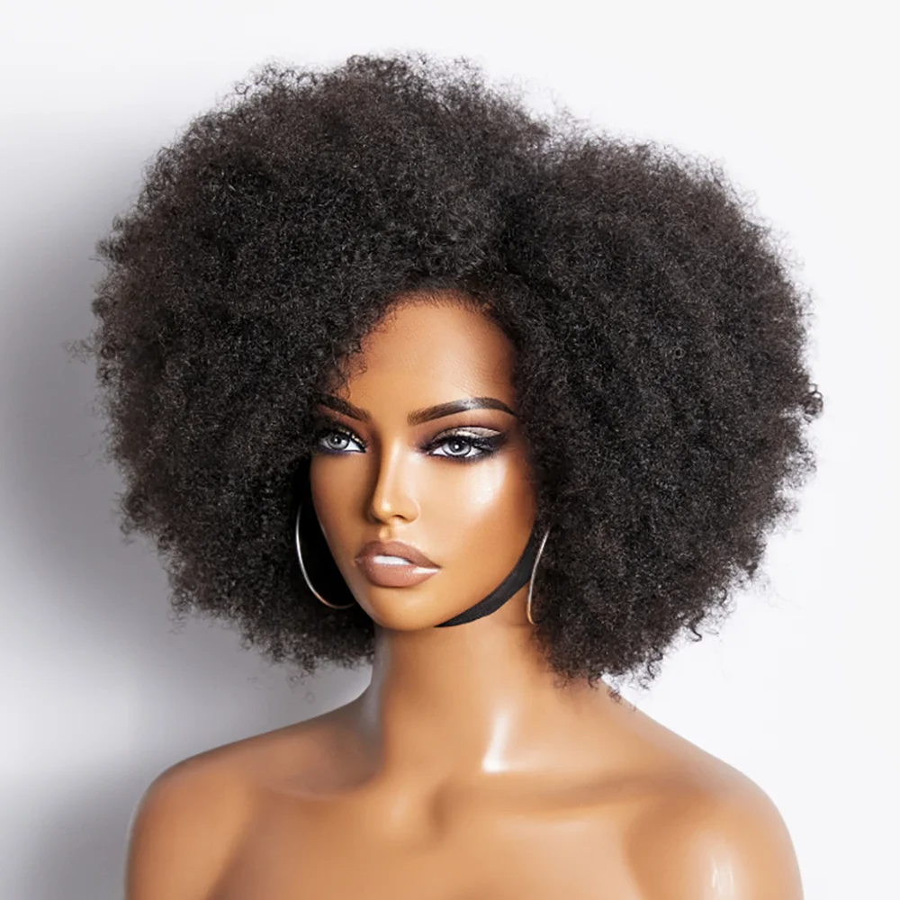 Lace Wig Afro Kinky Curly Wig Afro Hair Wigs For Black Human Hair Transparent Mongolian Natural Front Women