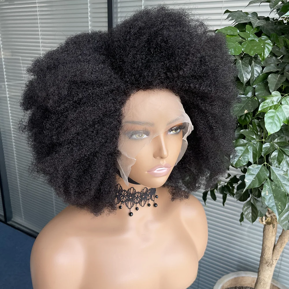 Lace Wig Afro Kinky Curly Wig Afro Hair Wigs For Black Human Hair Transparent Mongolian Natural Front Women