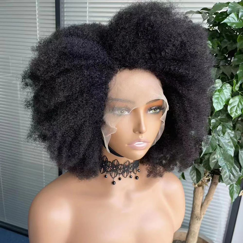 Lace Wig Afro Kinky Curly Wig Afro Hair Wigs For Black Human Hair Transparent Mongolian Natural Front Women