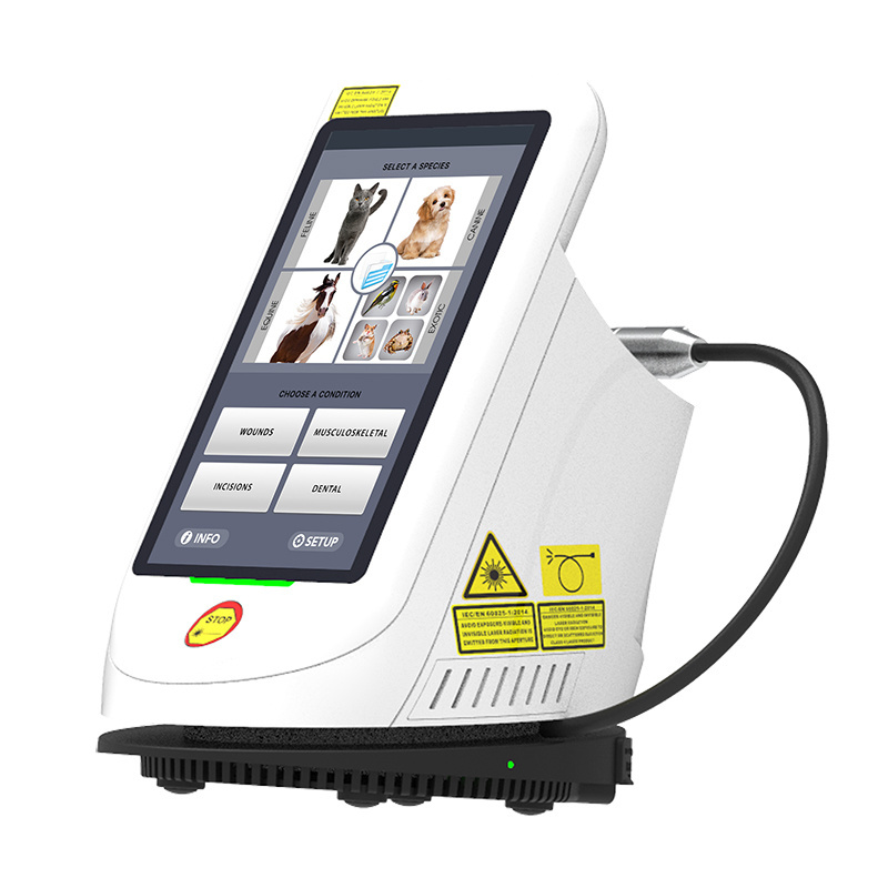 810nm 980nm Class IV veterinary laser therapy equipment for dog cat horse in vet clinic