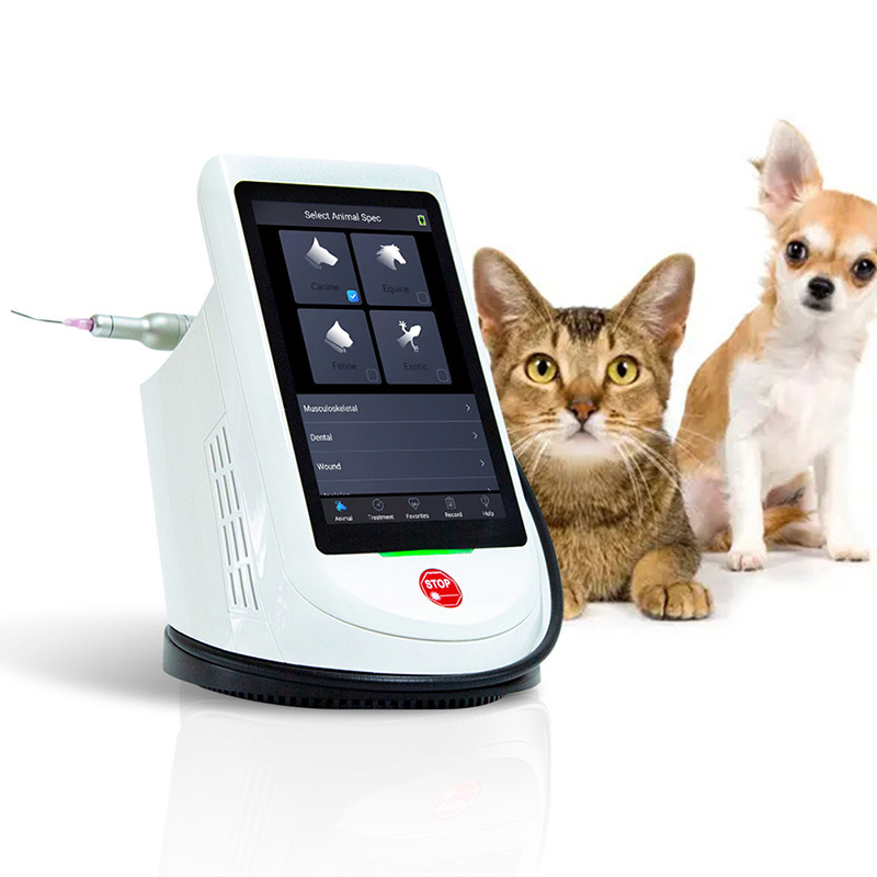 810nm 980nm Class IV veterinary laser therapy equipment for dog cat horse in vet clinic