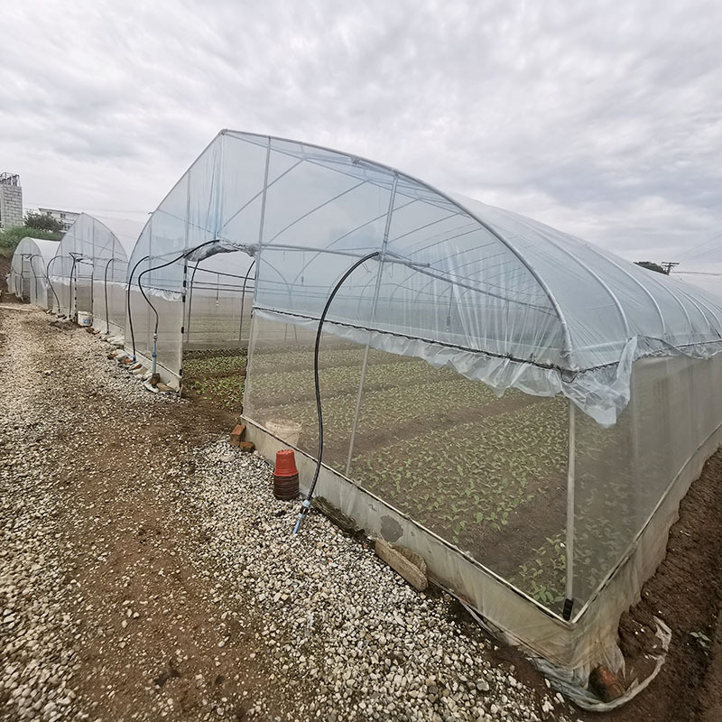 Single Span Polytunnel Greenhouse Agriculture Invernadero Chinese Invernadero Green House Structures Used For Sale