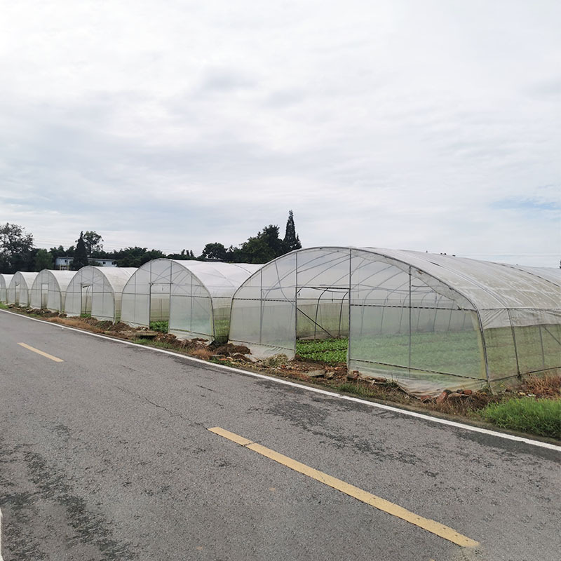 Single Span Polytunnel Greenhouse Agriculture Invernadero Chinese Invernadero Green House Structures Used For Sale