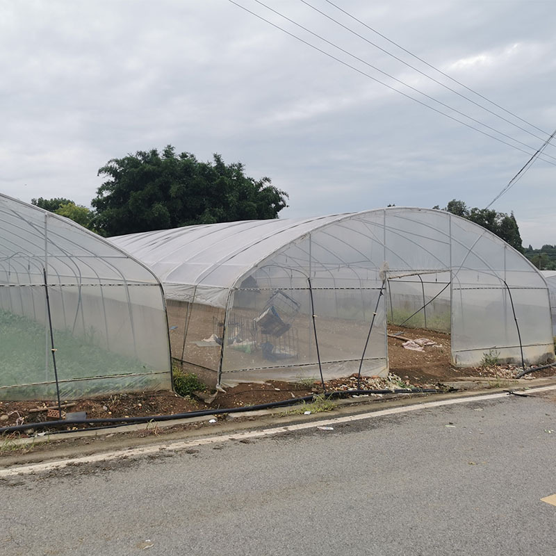 Single Span Polytunnel Greenhouse Agriculture Invernadero Chinese Invernadero Green House Structures Used For Sale