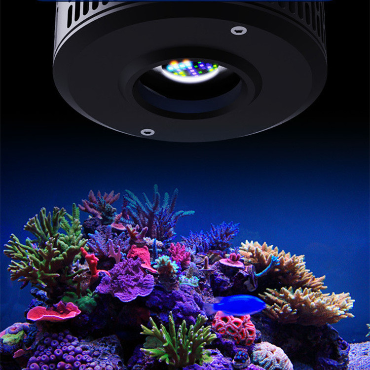 Wholesale Quality Smart Marine Light A7S Coral Lamp Fish Tank Coral Reef Marine Plant Aquarium Led Lighting Lamp Aquariums