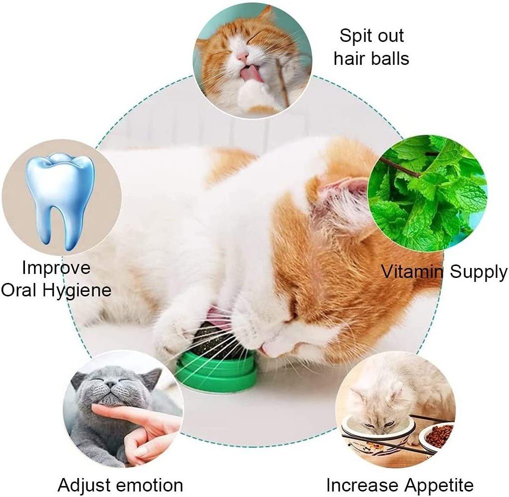 Natural Catnip Ball Cat Safe Teeth Grinding Interactive Toy Cleaning Dental Funny Cat Stick