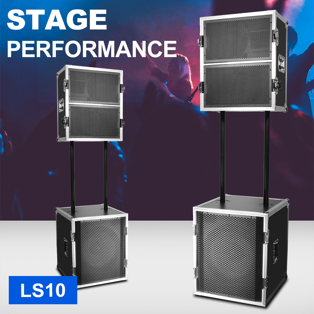 Biner LS10 High Quality Dual 10 Inch Power 750W+750W Professional Line Array Spaekers Audio Sound System Speakers