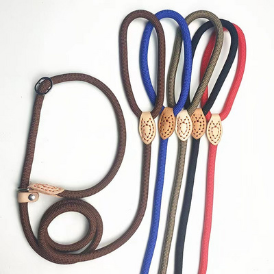 Explosion-proof impact P-chain lead nylon sewn leather pet dog leash Dog leash extended thick training dog leash P-rope