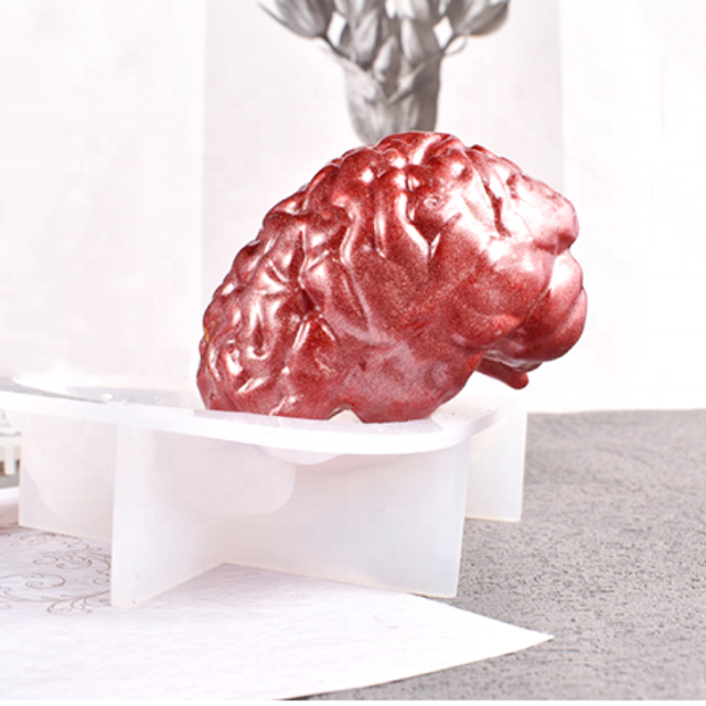 DLW126 Human organs Candle mold brain large intestine heart silicone molds made with epoxy resin