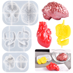 DLW126 Human organs Candle mold brain large intestine heart silicone molds made with epoxy resin