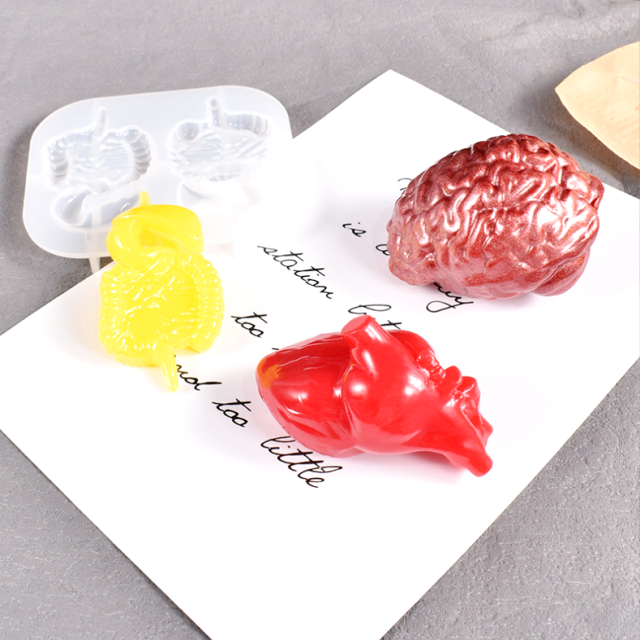 DLW126 Human organs Candle mold brain large intestine heart silicone molds made with epoxy resin