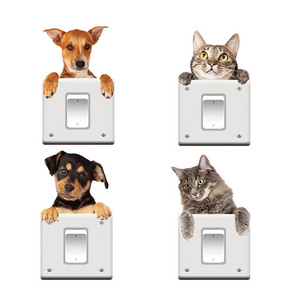 Cat and Dog 3D Switch Stickers,Vinyl for Bedroom,Living Room, Home Decor Decals, Plug Paste, Very Cute