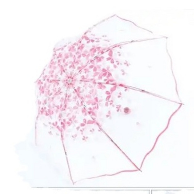 Umbrella Rain Woman 3 Fold Umbrellas For Kids Sakura Pink Umbrella Small Sunshade Transparent