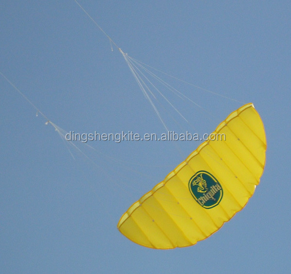 advertising dual line inflatable kite surf parachute kites